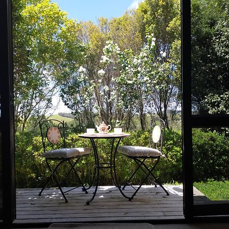 Dangela Boutique Lodge オークランド 部屋 写真